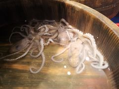 -小厨师·二十年沈家门小海鲜(百井坊巷店)