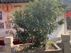 -西林禅寺