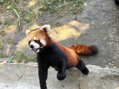 -苏州太湖西山岛开心农场