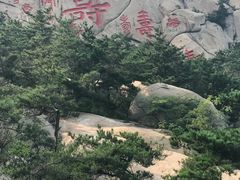 -崂山仰口游览区