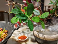 -醉美长安·陕菜(万和城店)