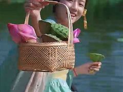 -洪湖生态旅游区