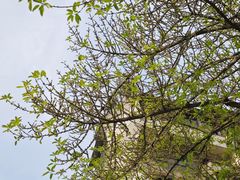 -忠山公园