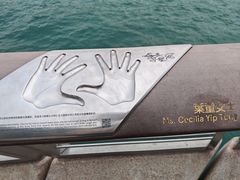 -星光大道