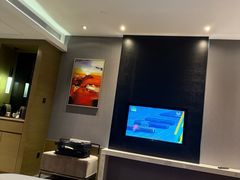 -南京禄口机场雅高铂尔曼大酒店