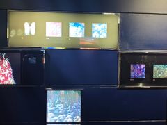 -同济大学四平路校区深海探索馆
