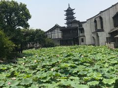 -乌镇望津里精品酒店