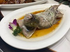 -刘胖子家常菜·蹄花焖藕(中南店)