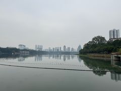 -南宁南湖公园