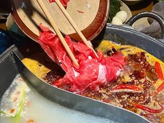 -阳阳老火锅(小南门店)