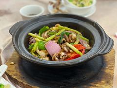 酱爆八爪鱼-君之悦酒家(容山路店)