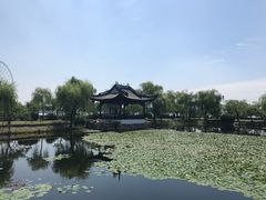 -无锡蠡湖国家湿地公园-蠡园