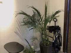 -芷桦咖啡(新城市广场店)