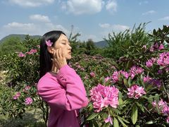 -名花谷生态庄园