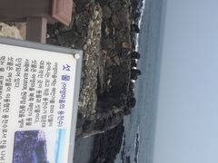 iphone_upload_pic-龙头岩(Dragon Head Rock)