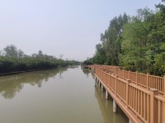 -大湾区中央湿地公园