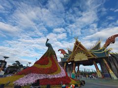 -七彩云南欢乐世界