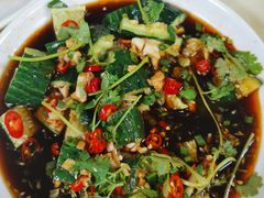 拍黄瓜-龙溪海鲜酒家(溪涌店)