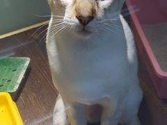 -乐宠宠物店(世纪金源店)