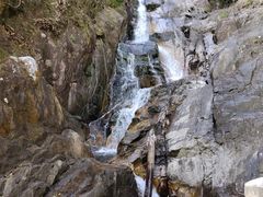 -九龙江国家森林公园