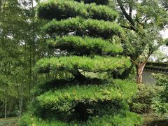 -南山植物园
