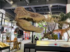 -郑州国际会展中心