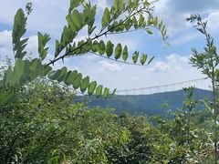 -铜川市金锁关石林