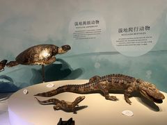 -中国湿地博物馆