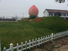 -南汇水蜜桃采摘(大团店)