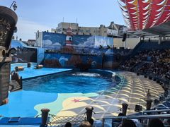 -海合安青岛极地海洋公园
