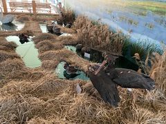 -延庆地质公园博物馆