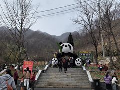 -栾川竹海野生动物园