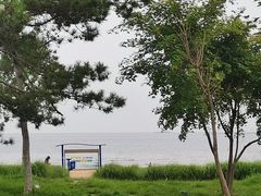 -金梦海湾浴场