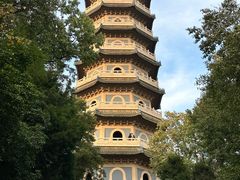 -灵谷景区