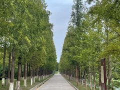 -黄河小浪底水利枢纽风景区