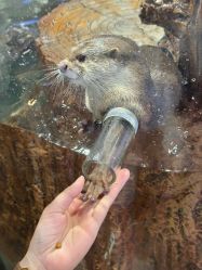 -Zoolung Zoolung动物主题公园(海信广场店)