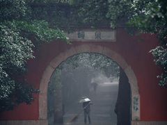 -灵谷景区