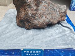 -吉林市博物馆