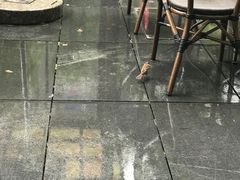 -虾满堂(瑞虹店)