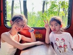 -合肥滨湖国家森林公园