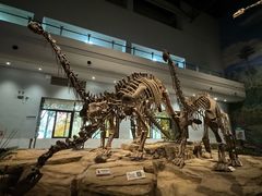 -自贡恐龙博物馆