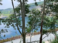 -黄埔油麻山森林公园