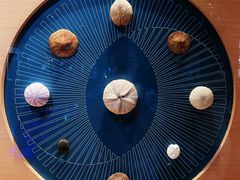 -中国湿地博物馆