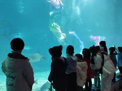 -福州罗源湾海洋世界旅游区