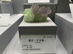 -湖南省地质博物馆