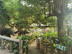 -槟城小云顶泰式餐厅
