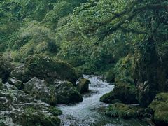 -龙苍沟森林公园