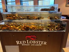 -RED LOBSTER(环球影城大阪店)