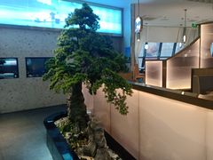 -马家斑.鲜鱼火锅(松湖万科店)