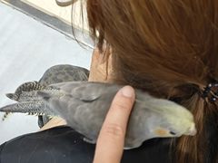 -万达广场(南京江宁店)